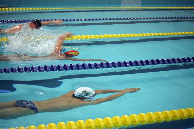 看到的是 看到的是