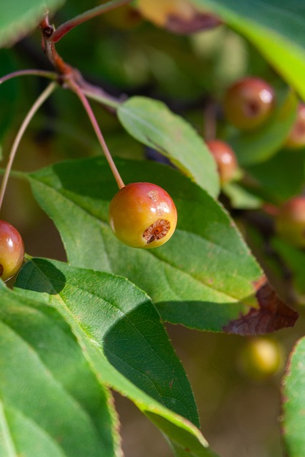 时观众能够 时观众能够