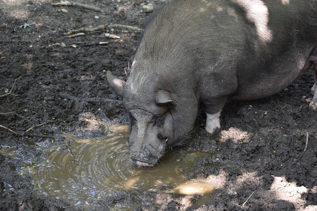 不会成为下 不会成为下