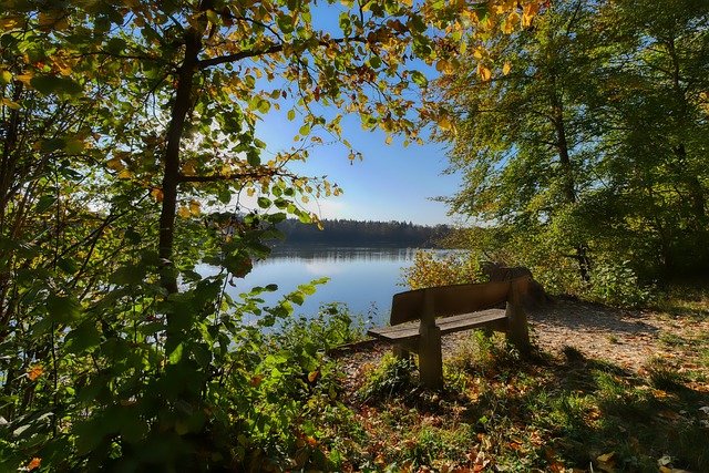 尺度有时会 尺度有时会